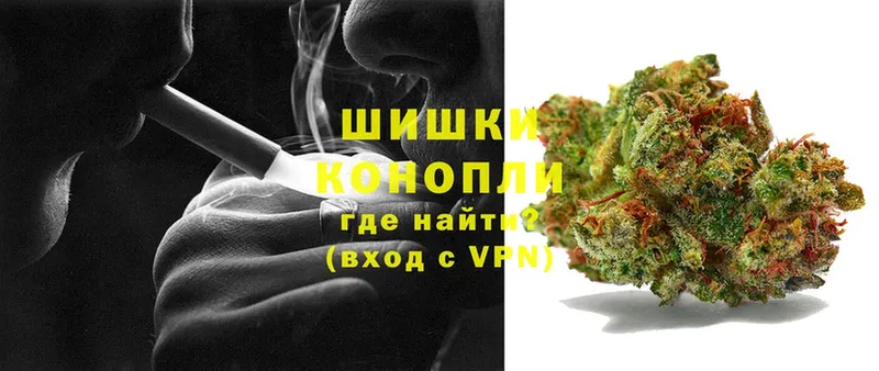 наркотики  Струнино  Каннабис OG Kush 